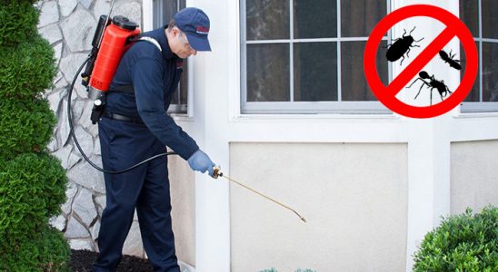 Kırıkkale Gümüşkurt İlaçlama böcek ilaçlama ve haşere kontrolü — ilaclama-tr.com